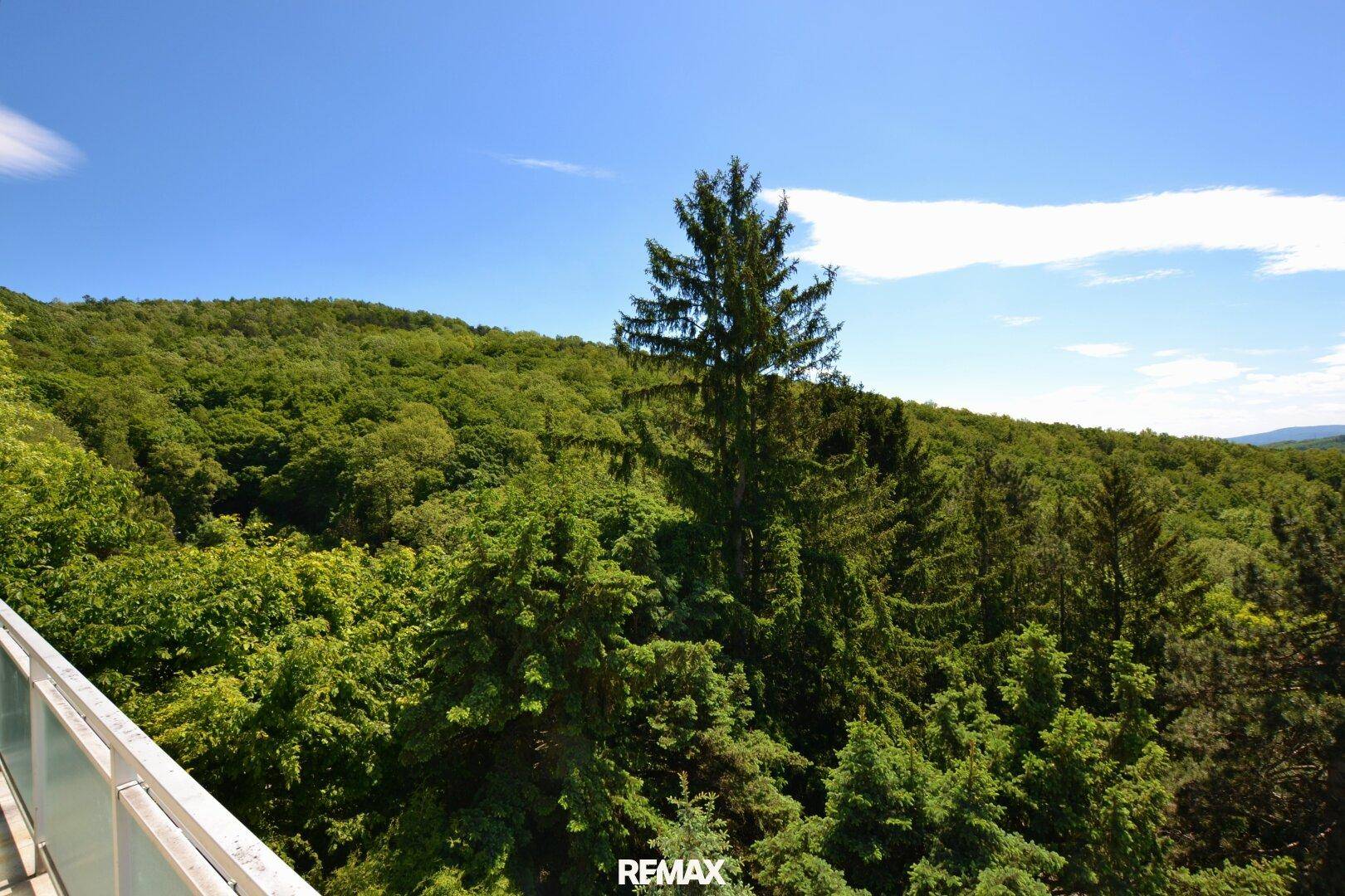 Weitläufiger Blick von einem Balkon oder einer Terrasse auf dichte grüne Wälder und Hügel.