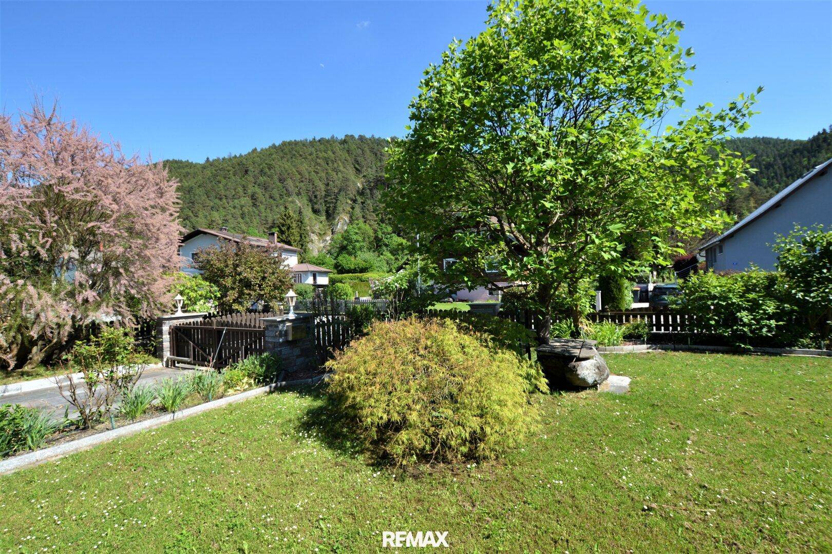 Vorderer Gartenbereich mit Rasen, Baum und Zugang zur Einfahrt des Hauses.