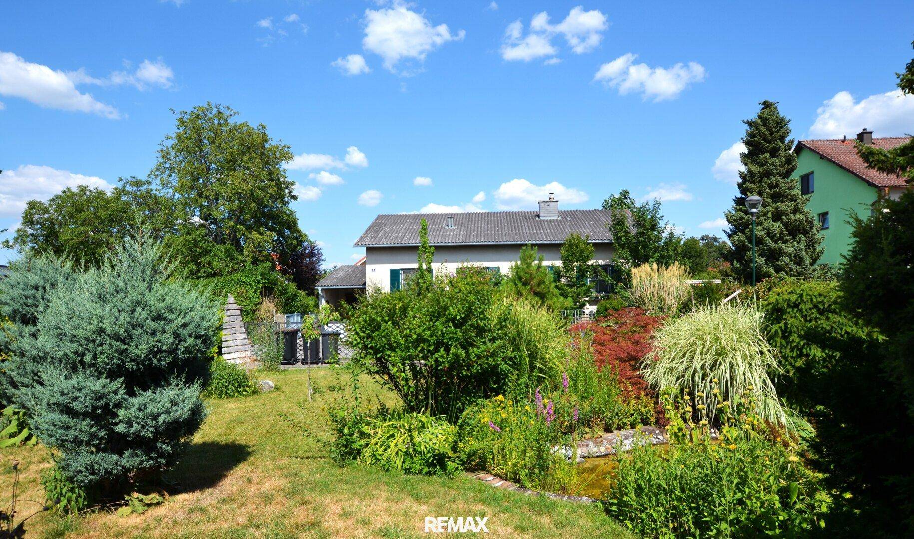 Großer, grüner Garten mit vielfältiger Bepflanzung und Blick auf das Haus.