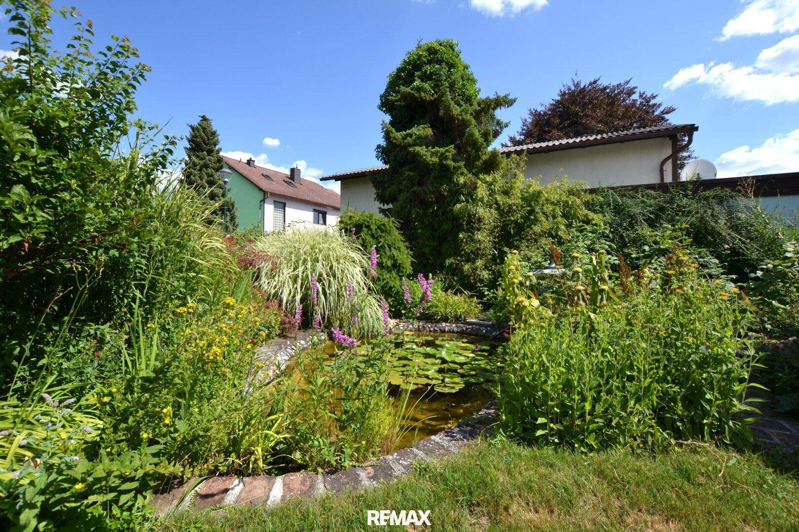 Detailansicht eines idyllischen Gartenteichs mit Seerosen und üppiger Vegetation.