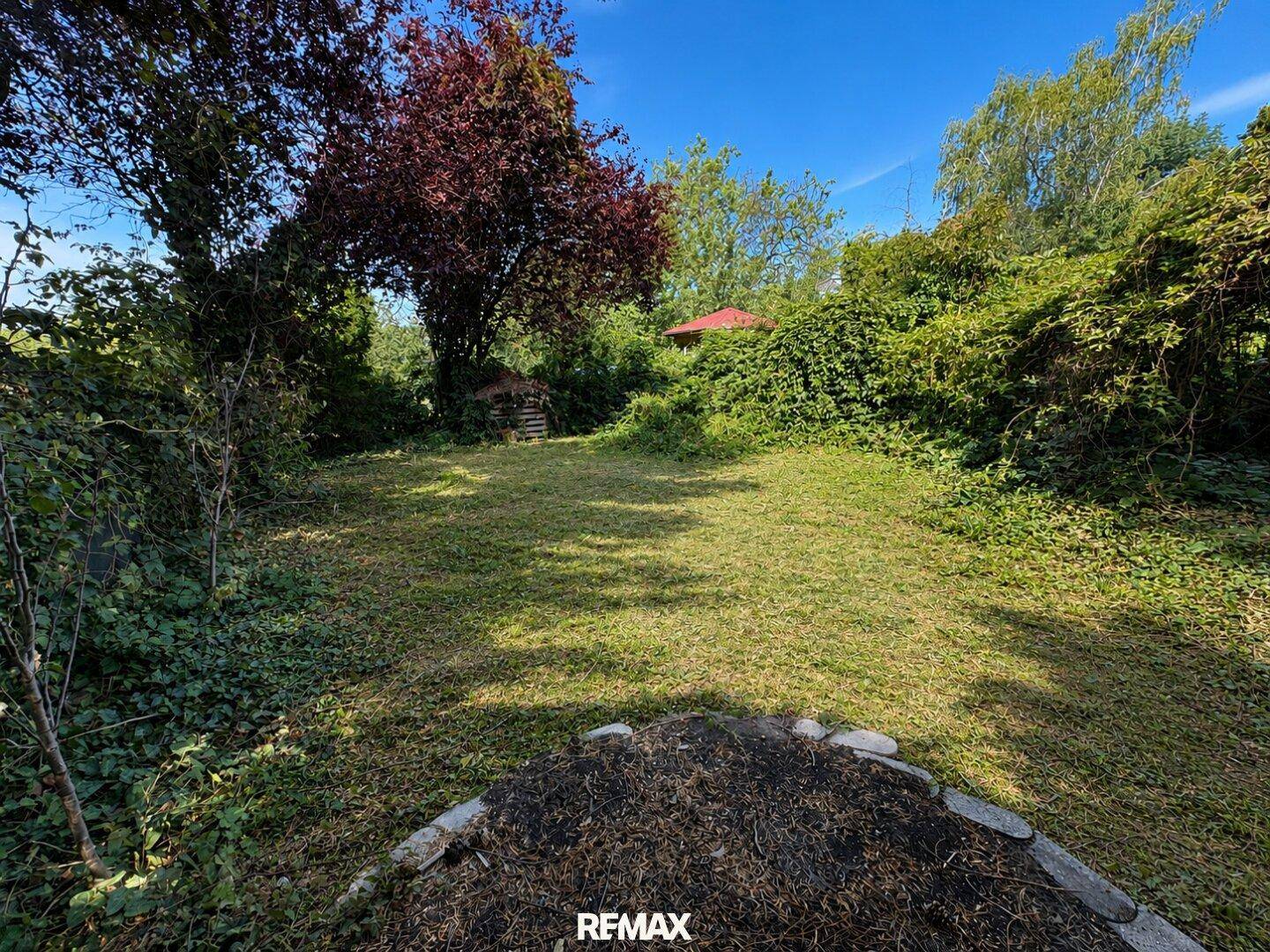 Großer, naturbelassener Gartenbereich mit Rasenfläche und üppiger Vegetation.