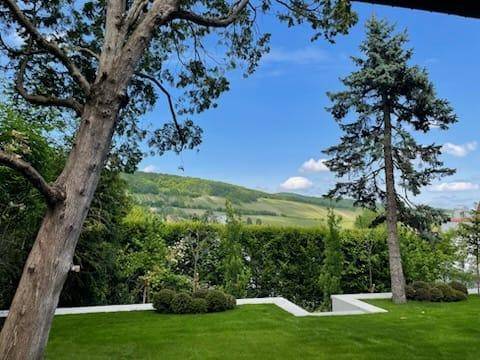 Grüner Garten mit hohen Bäumen und weitem Blick auf die umliegende Hügellandschaft.