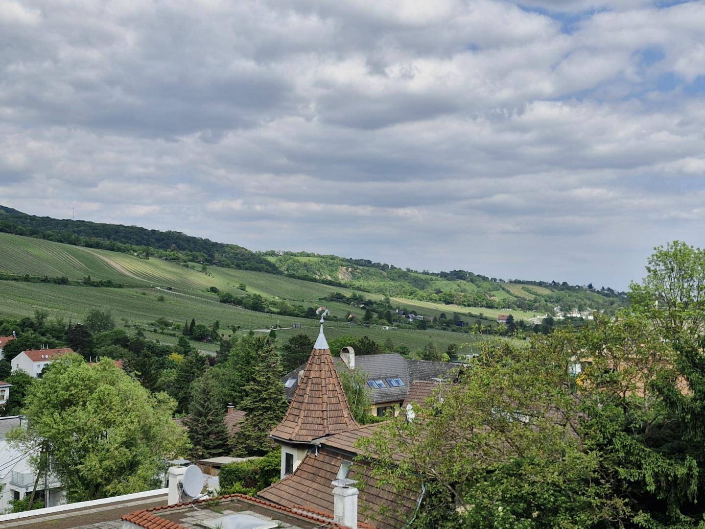 Panoramablick über die grüne Hügellandschaft mit Weinbergen und Siedlungen.