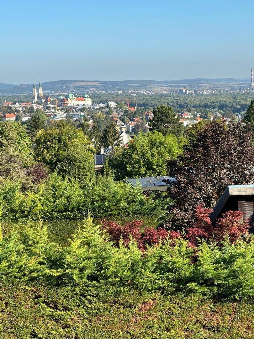Panoramablick über die Stadt und die umliegende grüne Landschaft an einem sonnigen Tag.