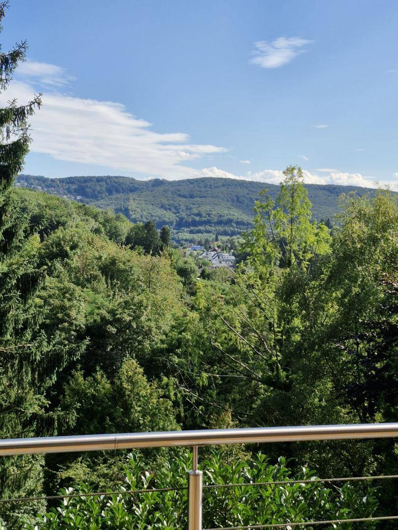 Panoramablick von einem Balkon über eine grüne Hügellandschaft mit vereinzelten Häusern.