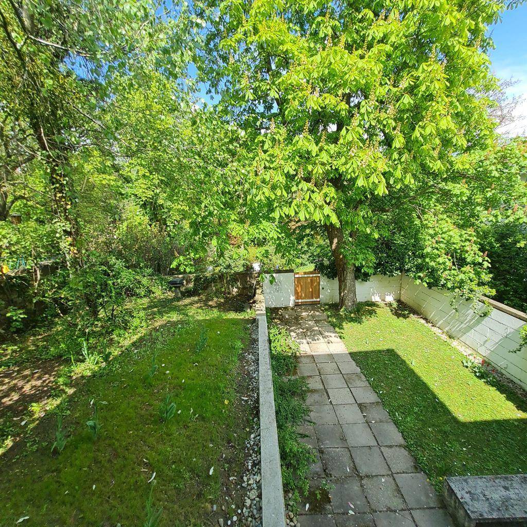 Gepflegter Gartenbereich mit Rasen, altem Baum und einem Weg, der zum Gartentor führt.