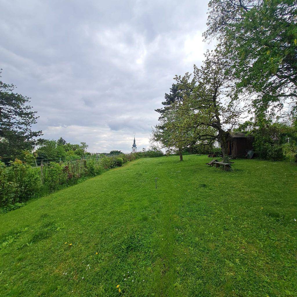 Weitläufiger Garten mit sanftem Hang, grüner Rasenfläche und Blick auf eine Kirchturmspitze.
