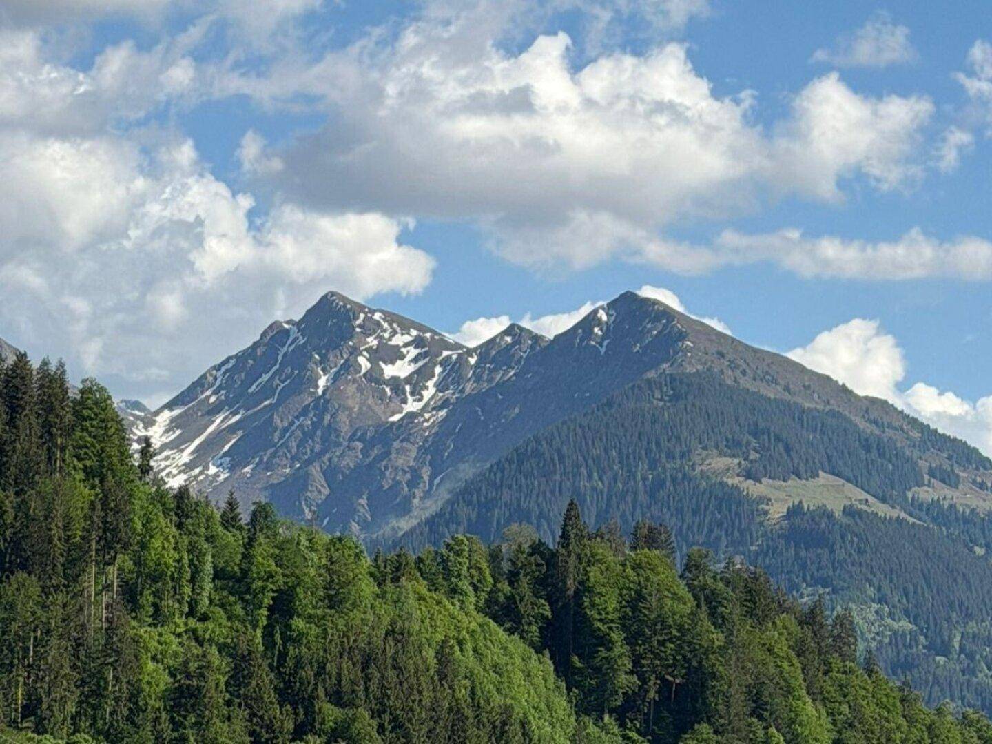 Majestätischer Berggipfel mit schneebedeckten Flanken und dichten grünen Wäldern unter einem bewölkten Himmel.
