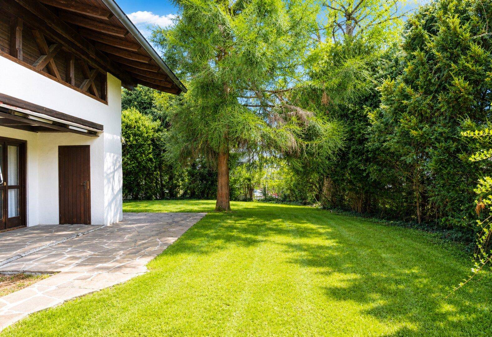 Sonniger Gartenbereich mit Rasenfläche, altem Baumbestand und gepflastertem Weg am Haus.