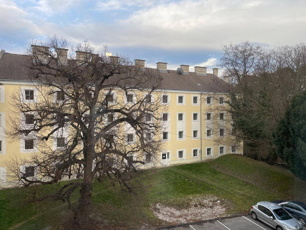 Gelbes Mehrfamilienhaus mit vielen Fenstern und einem großen Baum im Vordergrund.