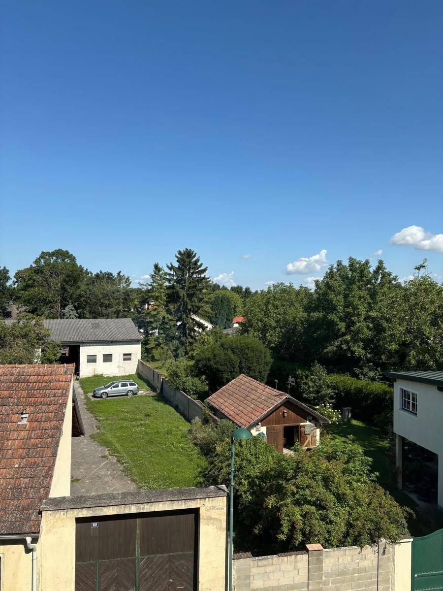 Blick von oben auf einen grünen Gartenbereich mit Bäumen, einem Schuppen und einem geparkten Auto.