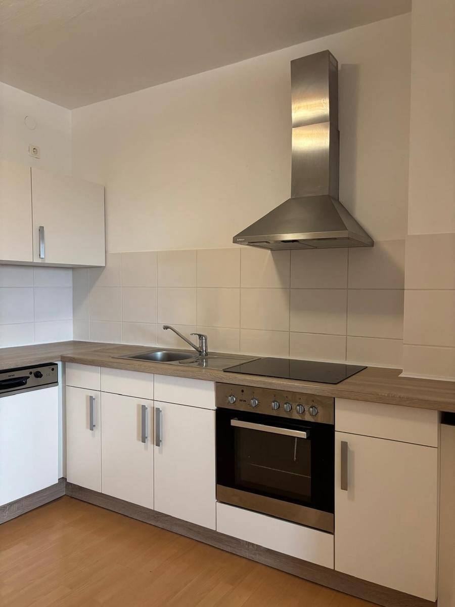 Detailansicht der Küche mit Spüle, Induktionskochfeld, Backofen und Dunstabzugshaube, alles in funktionalem Design.