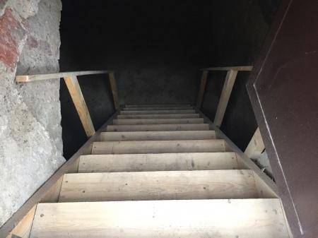 Blick von oben auf eine einfache Holztreppe, die in einen dunklen Kellerbereich hinabführt.
