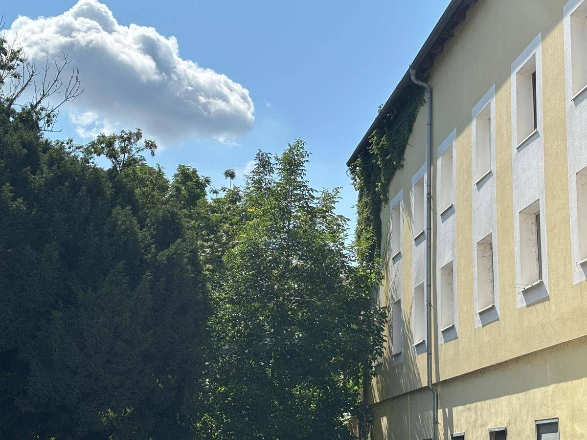 Seitenfassade eines Gebäudes mit vielen Fenstern, umgeben von üppigem Grün und Bäumen.