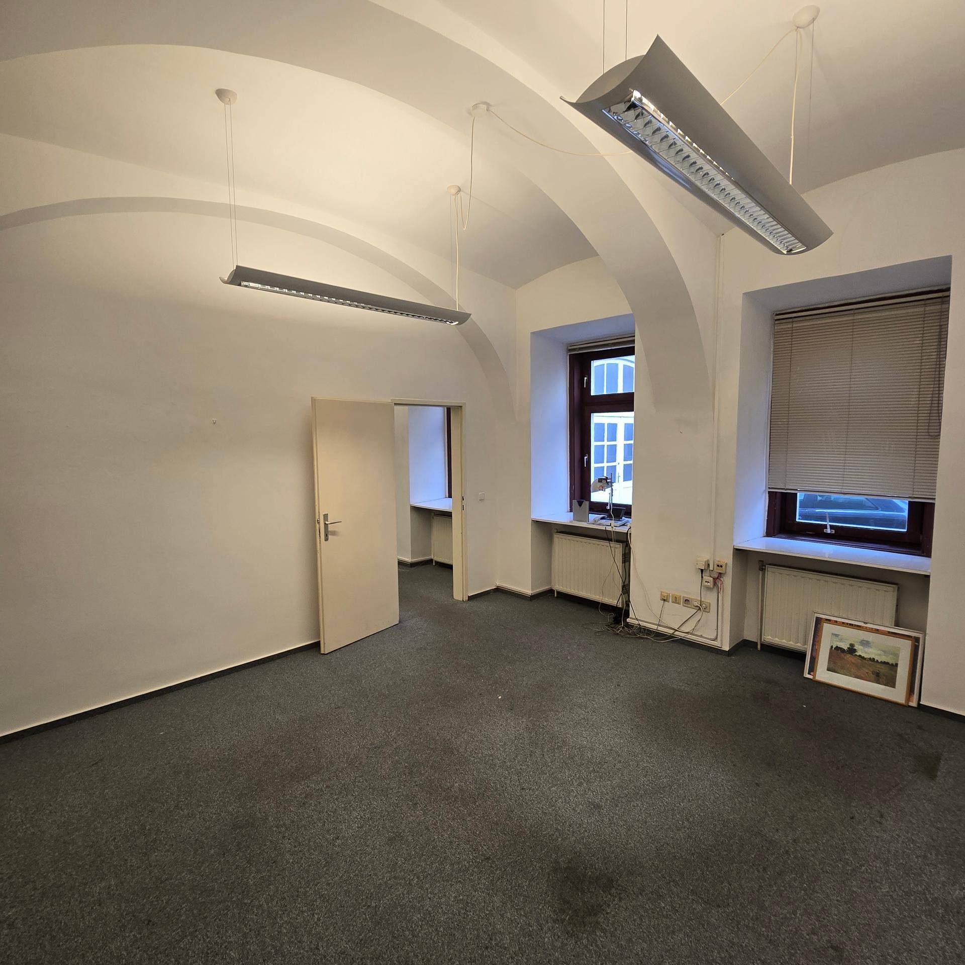 Geräumiger Büroraum mit Teppichboden, zwei Fenstern und einer modernen Deckenleuchte, in gutem Zustand.