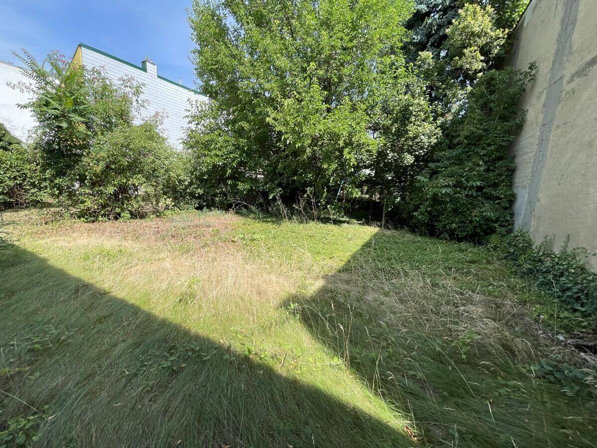 Ungepflegter Gartenbereich mit hohem Gras und Bäumen, umgeben von Gebäuden.