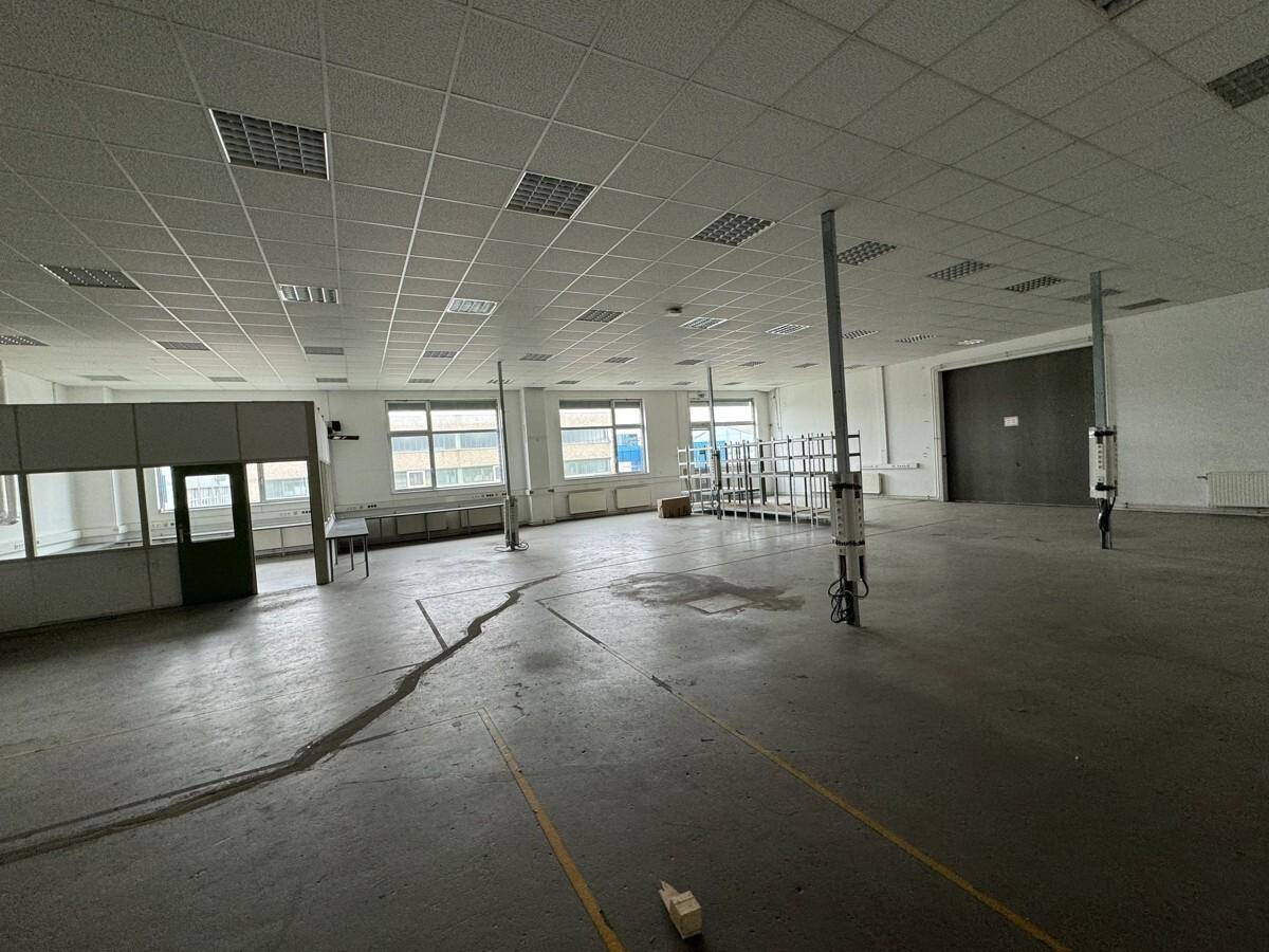 Geräumiger Bürobereich mit Betonboden, abgehängter Decke und großen Fenstern für viel Tageslicht.