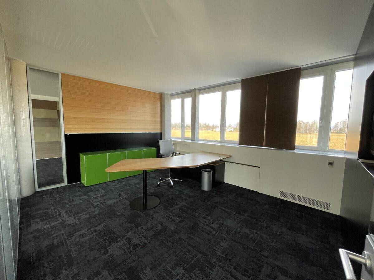 Privates Büro mit Schreibtisch, Holzpaneelen und großen Fenstern mit Blick ins Grüne.