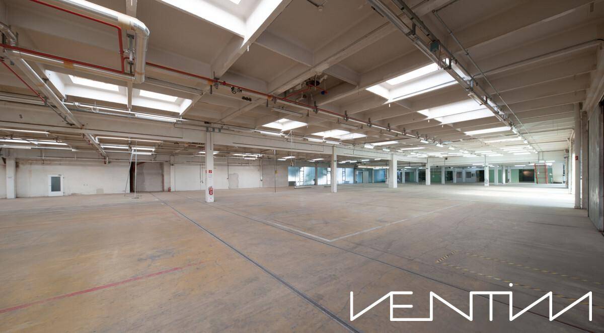 Große, leere Industriehalle mit hohen Decken und zahlreichen Oberlichtern, ideal für Produktion oder Lagerung.