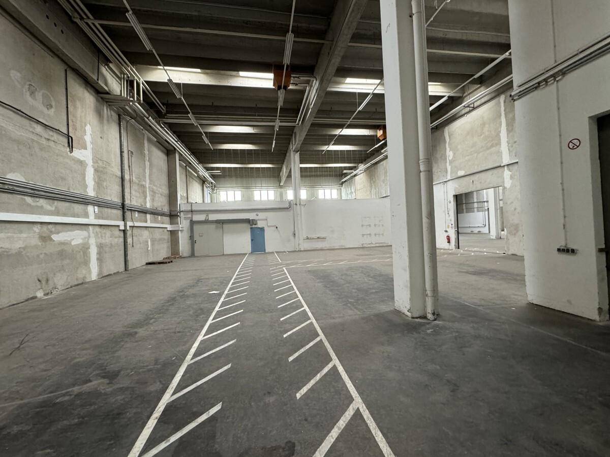 Weitläufige Lagerhalle mit hohen Decken, Betonwänden und Säulen, ideal für Lagerung oder Produktion.
