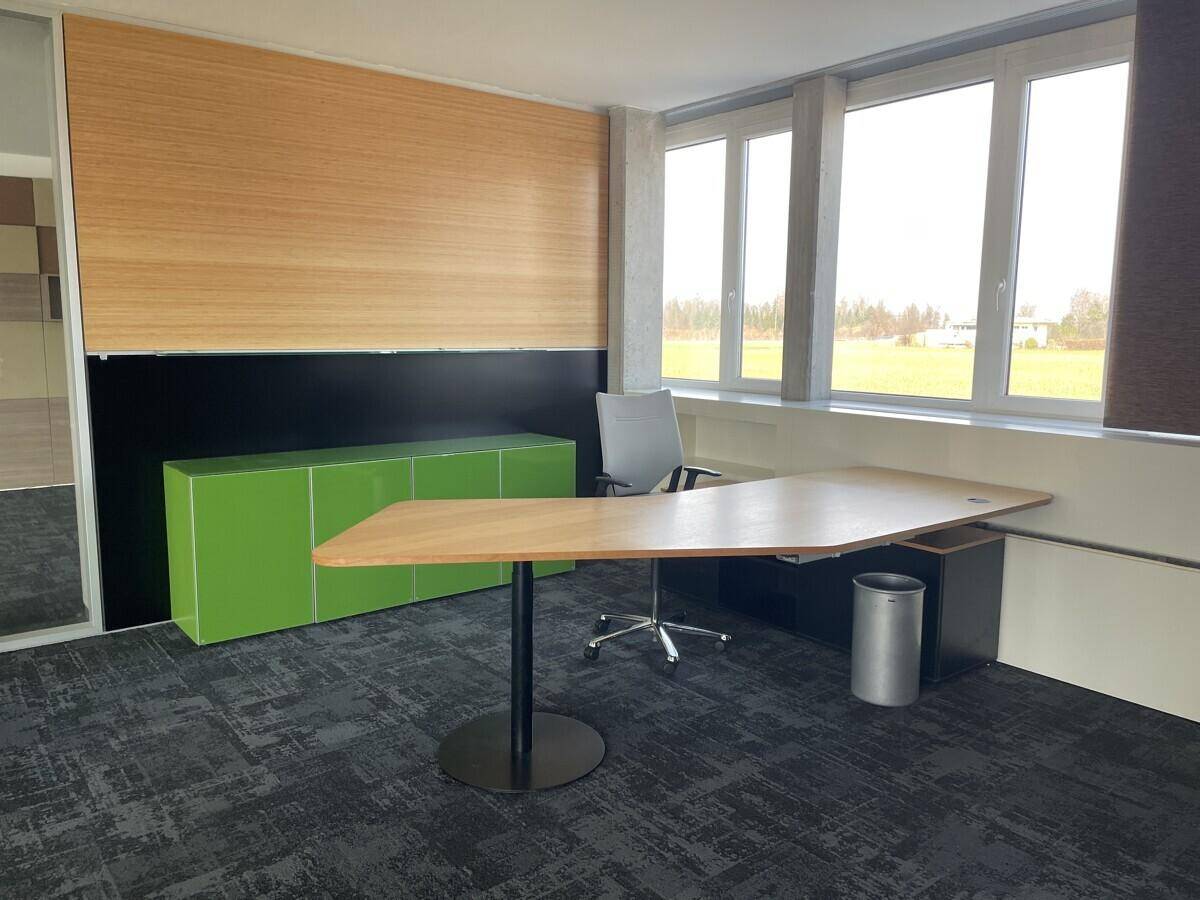 Helles Büro mit Schreibtisch, Teppichboden und großen Fenstern mit Blick ins Grüne, fördert konzentriertes Arbeiten.
