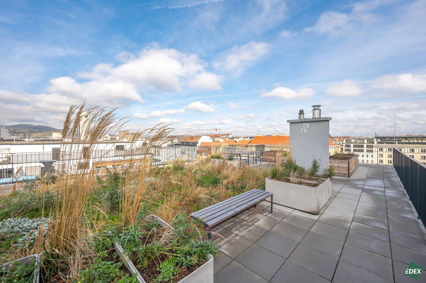 Begrünte Dachterrasse mit Sitzbank und weitem Blick über die Stadt und die umliegende Landschaft.