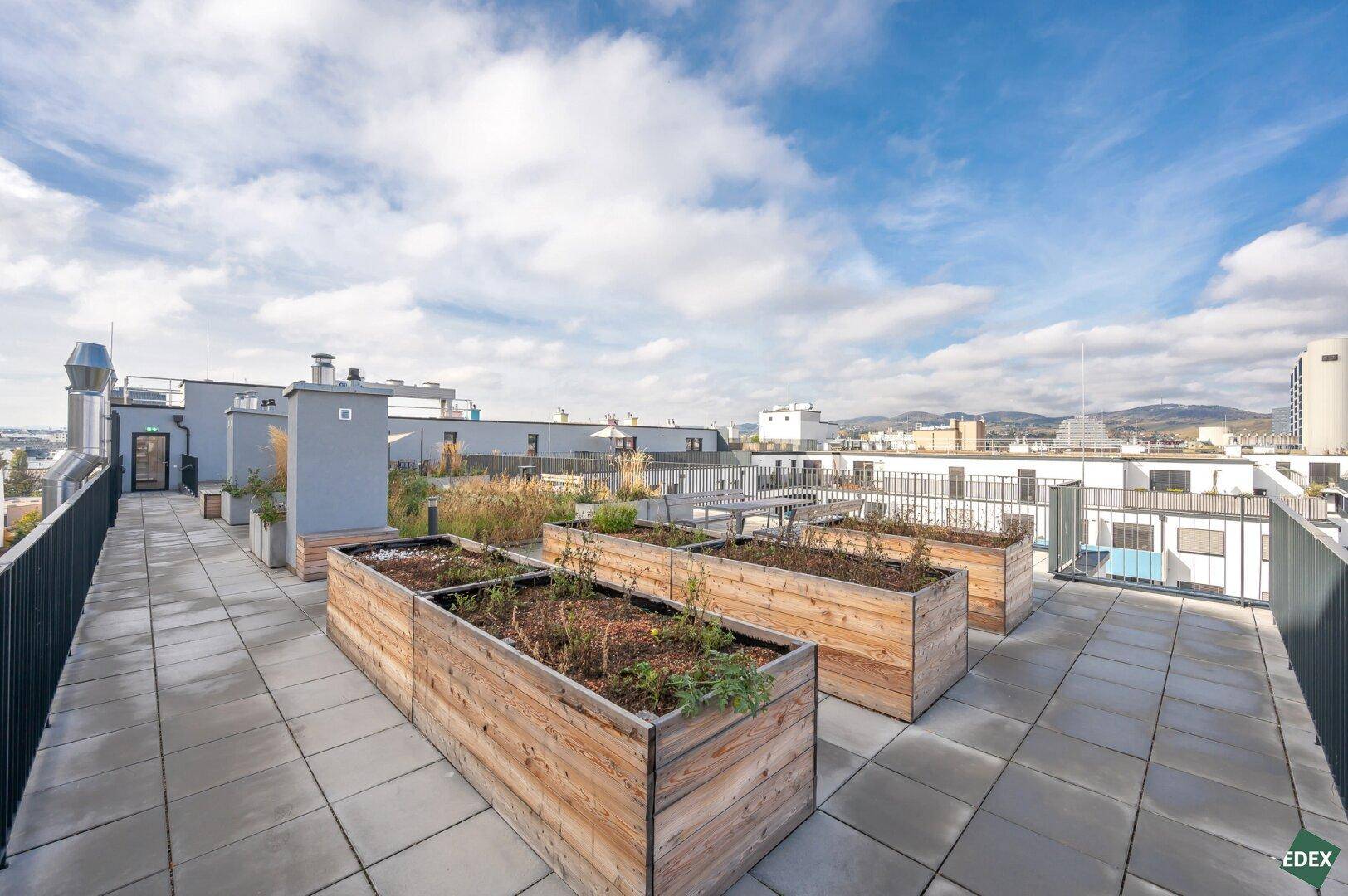Weitläufige Dachterrasse mit Pflanzenbeeten und urbanem Ausblick, ideal für Entspannung im Freien.