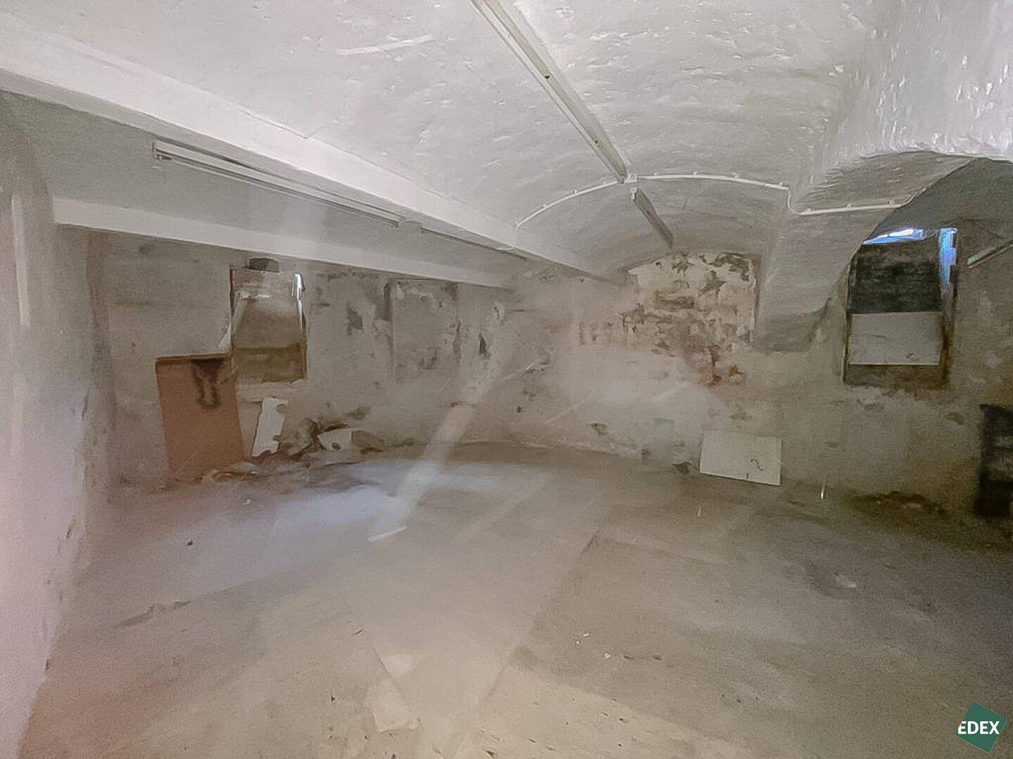 Geräumiger Kellerraum mit gewölbter Decke, rauen Wänden und sichtbaren Spuren der Zeit, bereit zur umfassenden Renovierung.