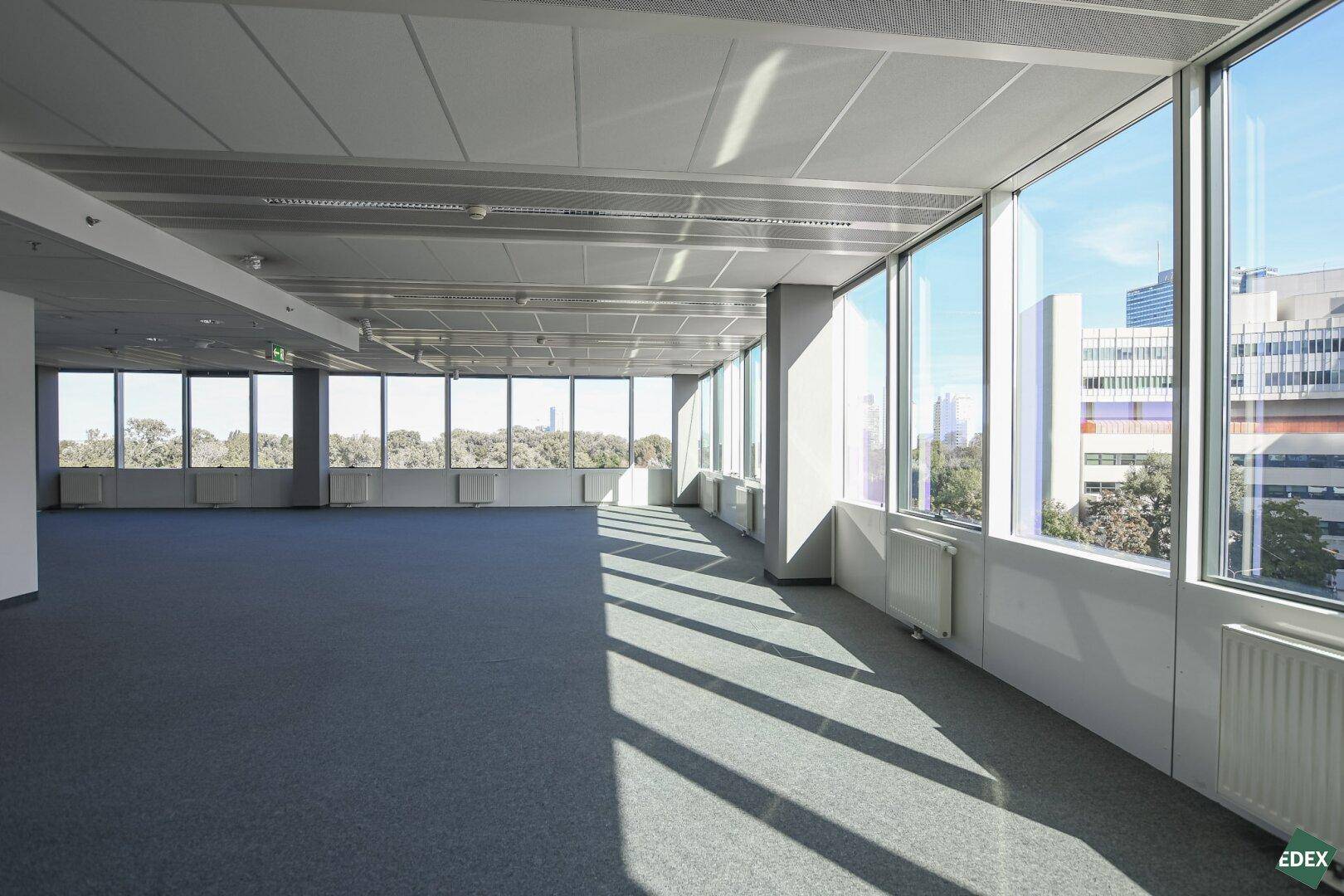 Geräumiges, leeres Büro mit Teppichboden und großen Fenstern, die viel Tageslicht und einen Blick auf die Stadt ermöglichen.