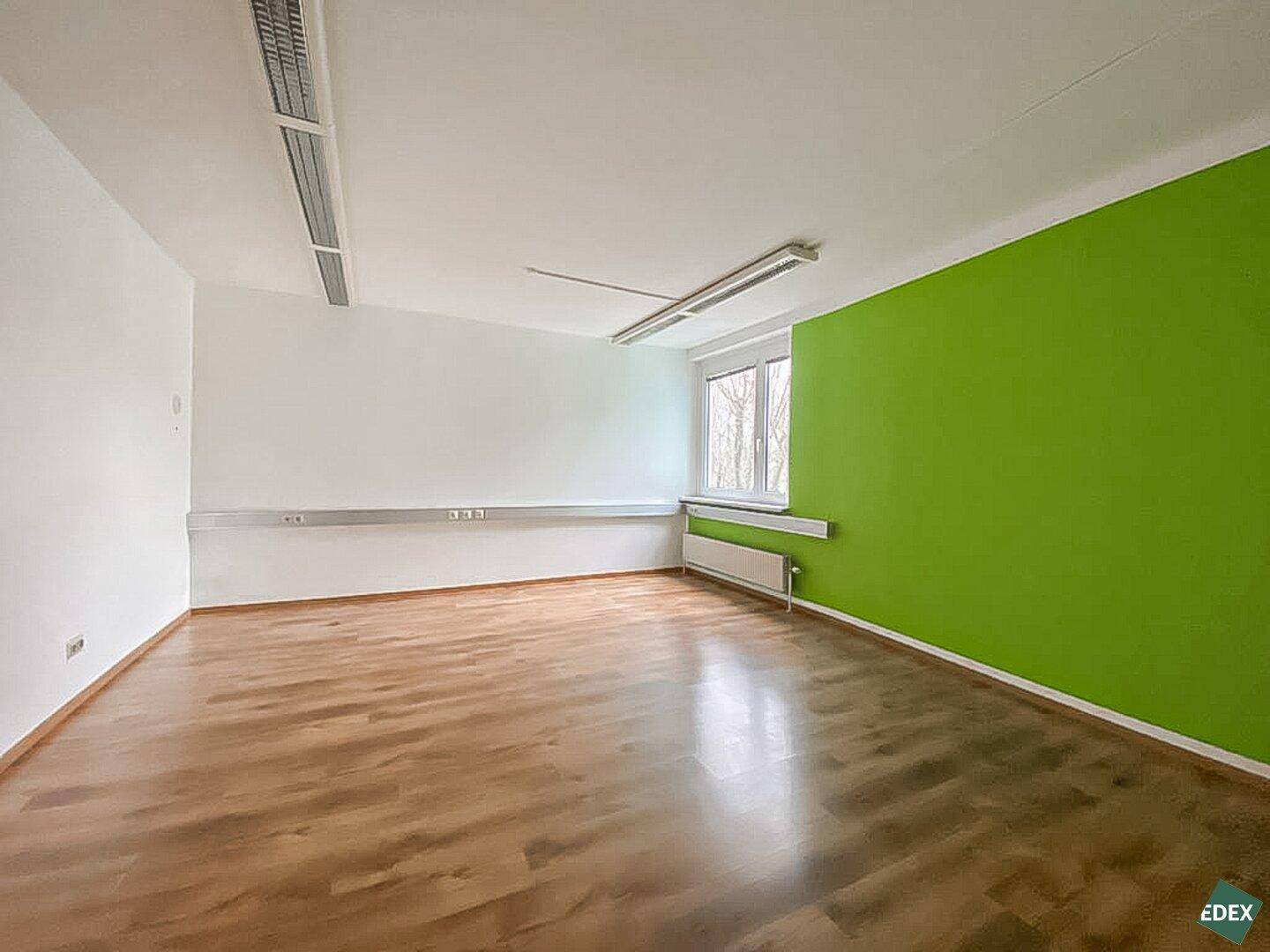 Geräumiges Büro mit einer grünen Akzentwand, Holzfußboden und natürlichem Lichteinfall durch das Fenster.