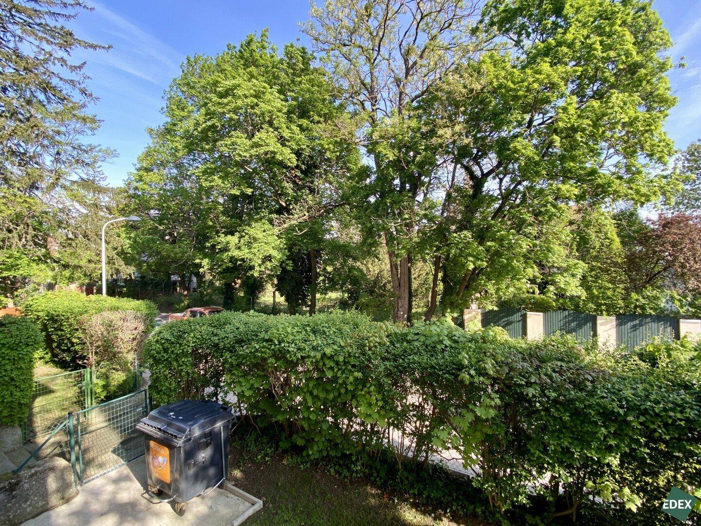 Grüner Ausblick auf Bäume und Hecken, der eine ruhige Umgebung suggeriert.
