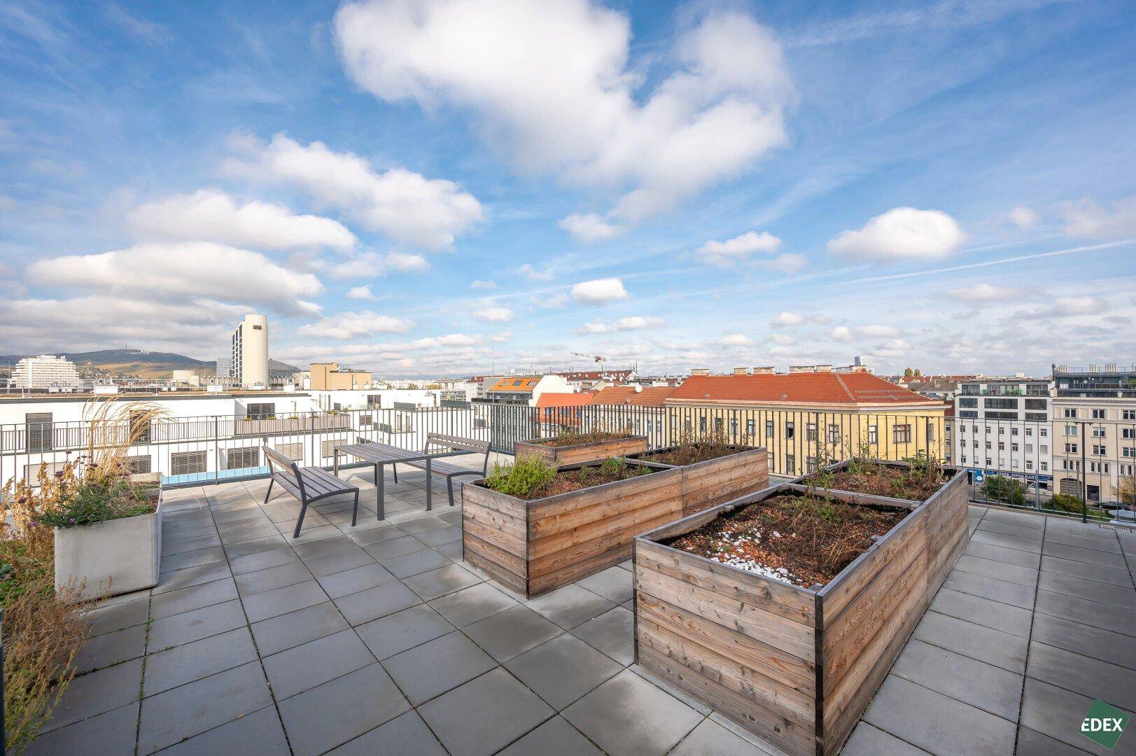 Weitläufige Dachterrasse mit großen Pflanzkübeln und Panoramablick über die Stadt.