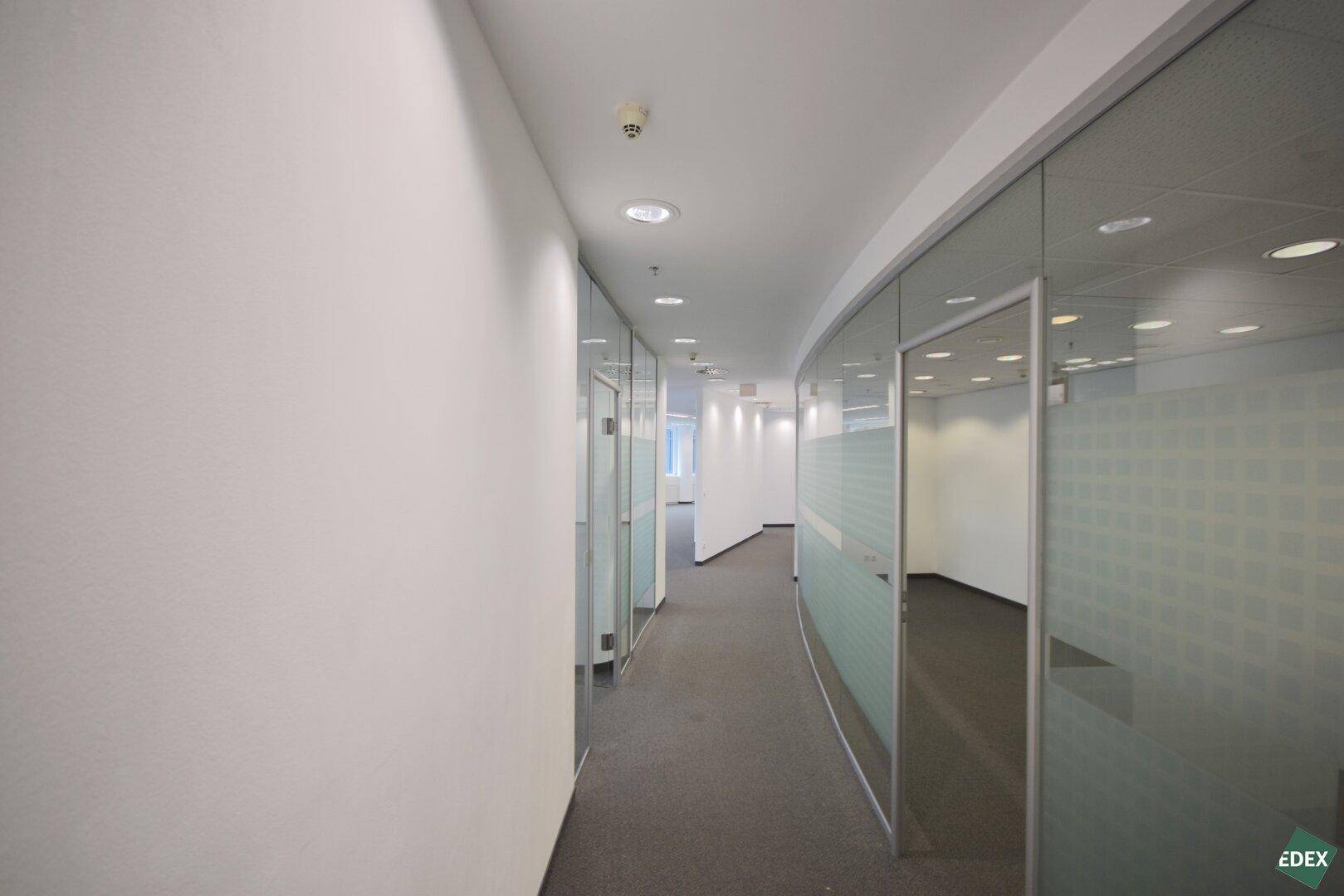 Moderner Bürogang mit grauem Teppichboden, weißen Wänden und Büros mit Glasfronten auf einer Seite.