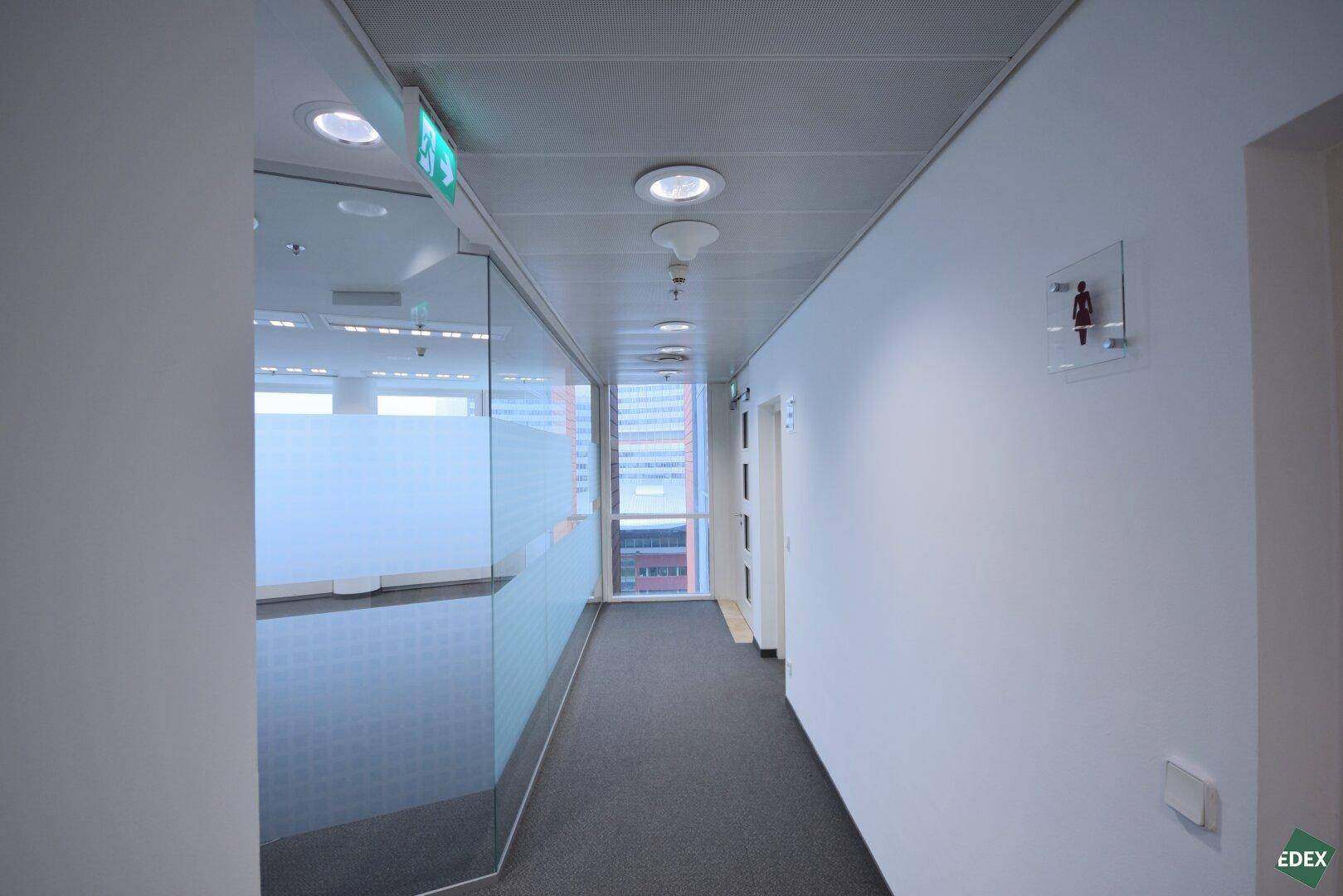 Büroflur mit grauem Teppichboden, Glaswänden zu den Büros und Hinweisschildern zu den Sanitäranlagen.