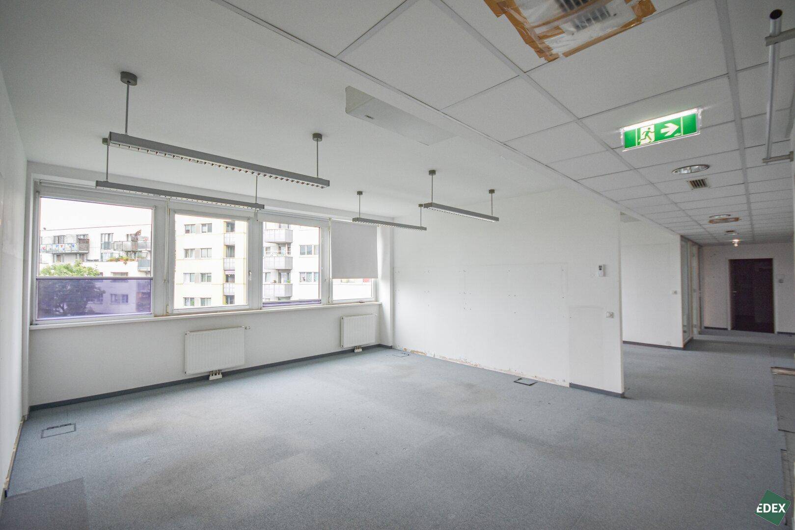 Geräumiges Büro mit Teppichboden, vielen Fenstern und Notausgangsschild an der Decke.