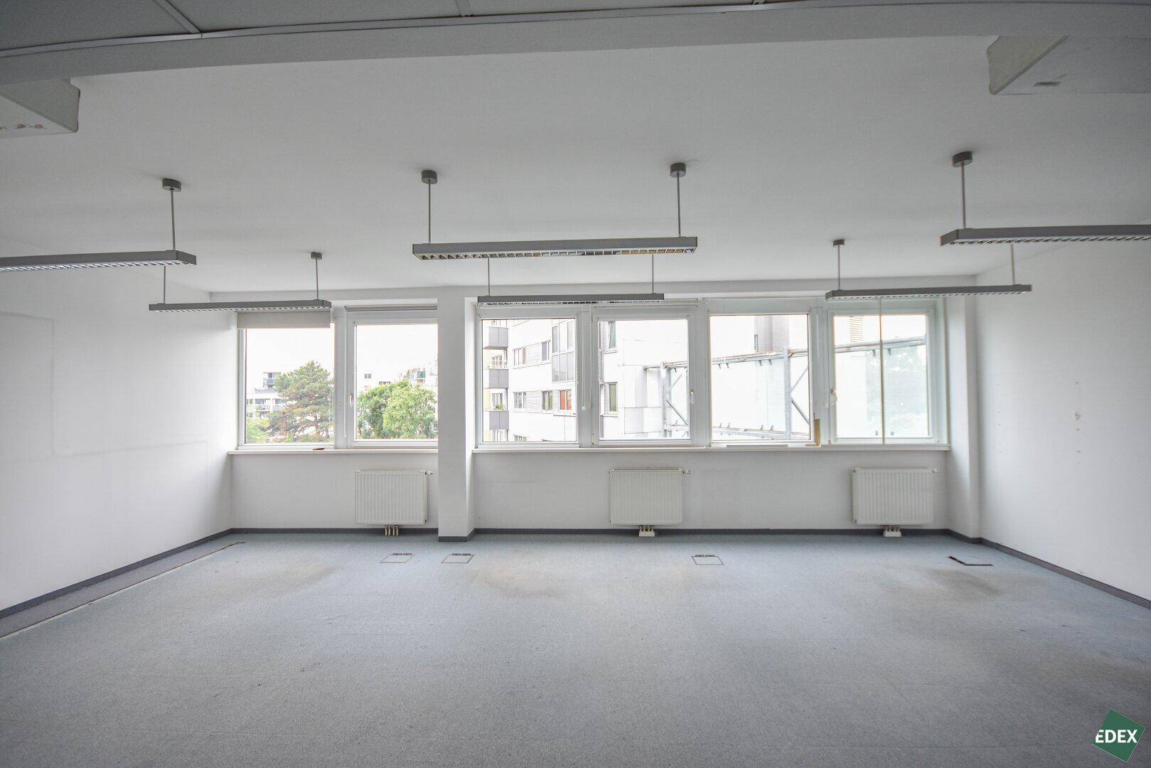 Leeres Büro mit Teppichboden, großen Fenstern und Heizkörpern unter den Fenstern.