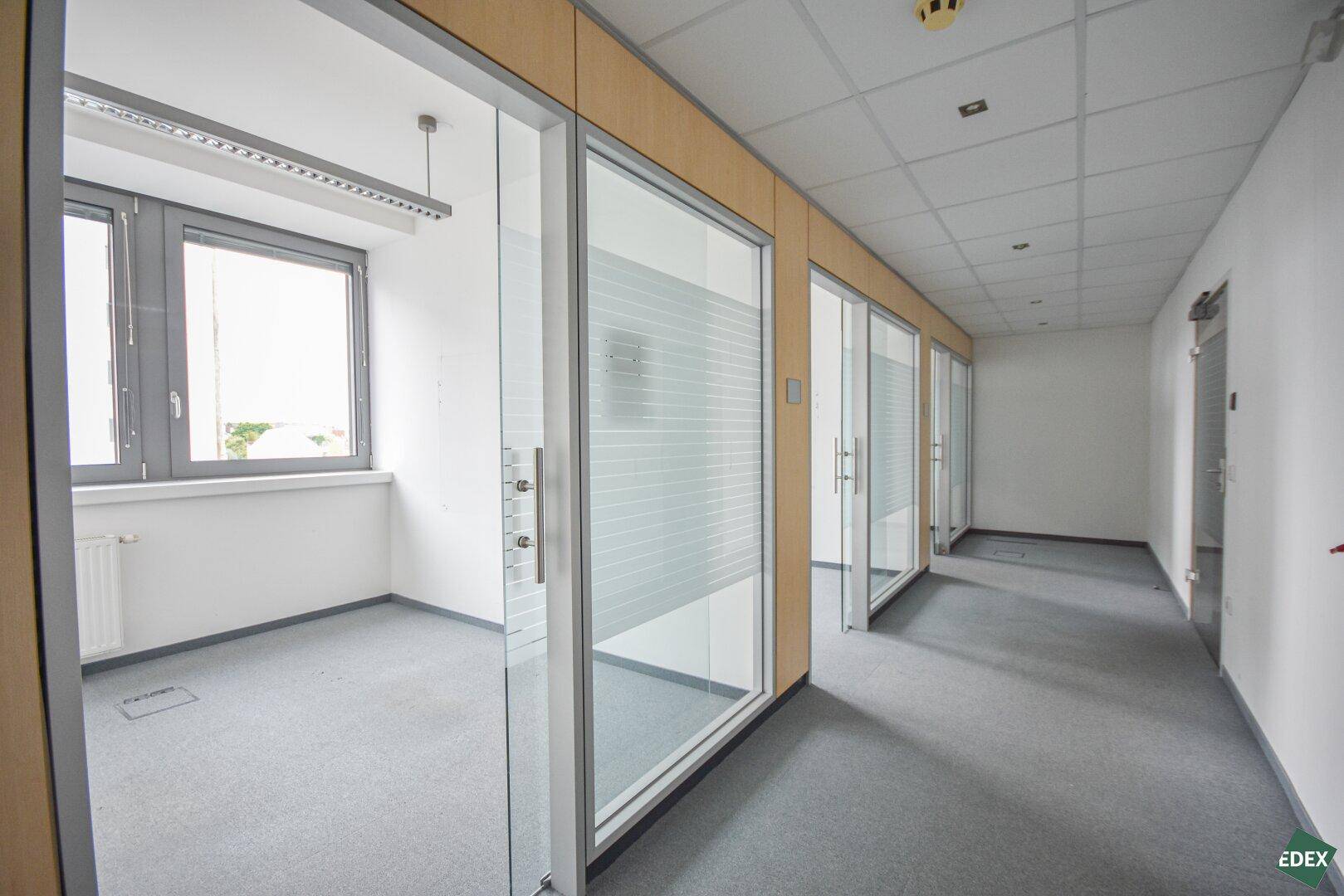 Moderner Büroflur mit Glastüren zu einzelnen Büros und Teppichboden.