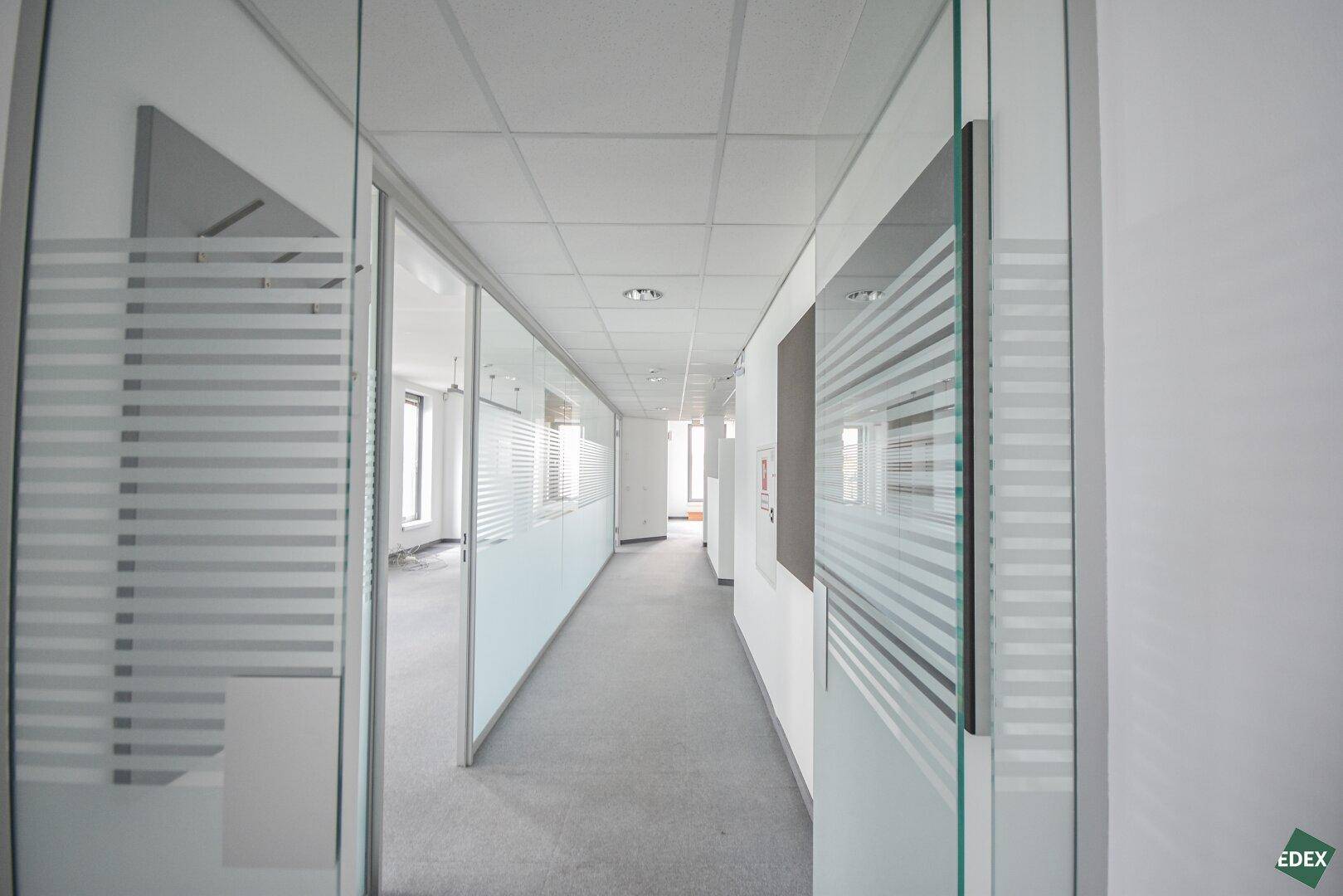 Langer Flur mit Glaswänden und Teppichboden, der zu weiteren Büros führt, modern und funktional.