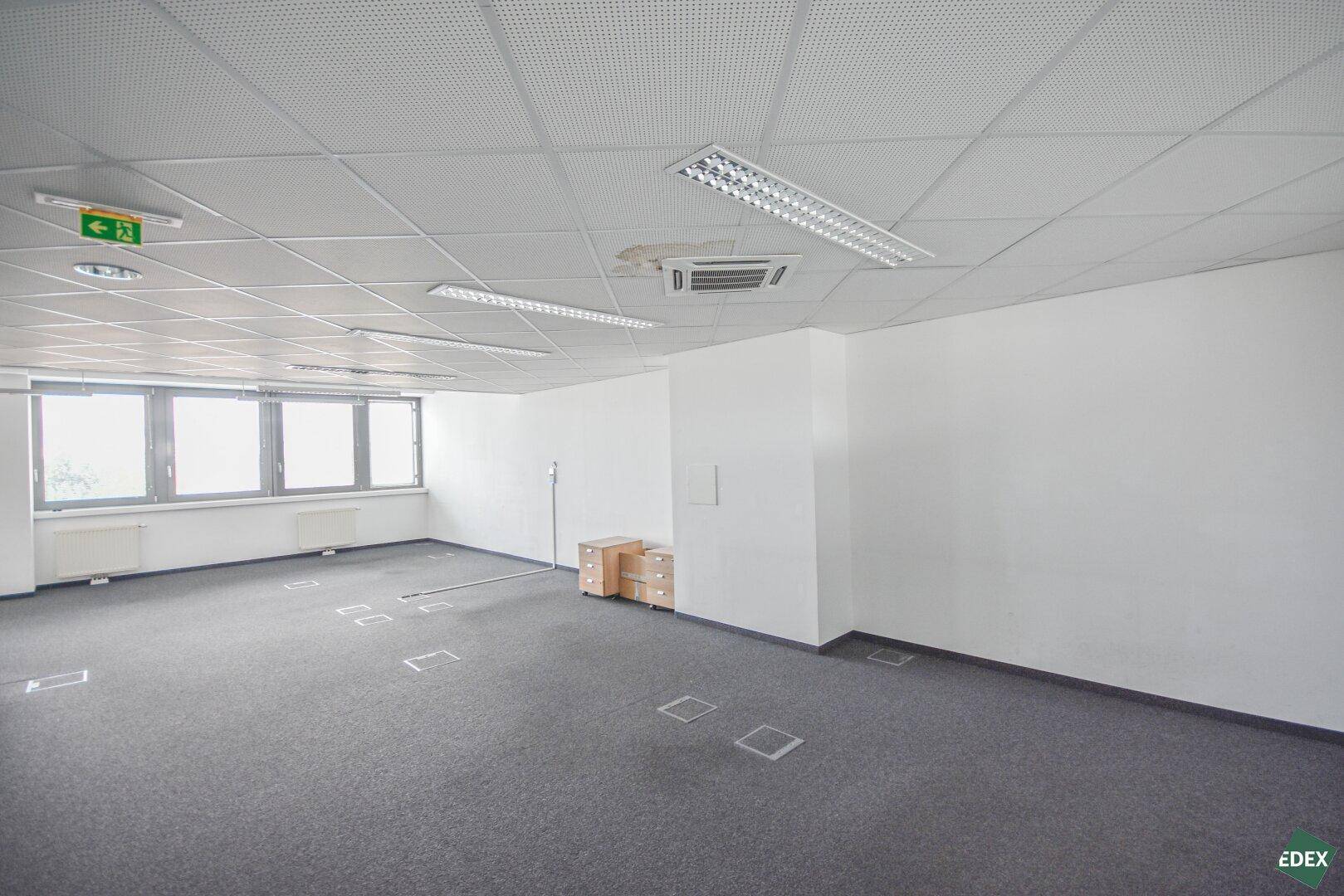 Großes, leeres Büro mit Teppichboden, abgehängter Decke und mehreren Fenstern für Helligkeit.