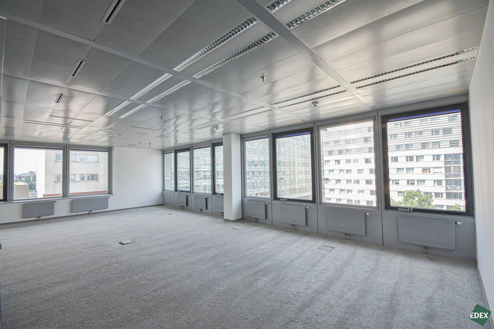 Heller Büroraum mit Teppichboden, vielen Fenstern und Heizkörpern unter den Fensterbänken.