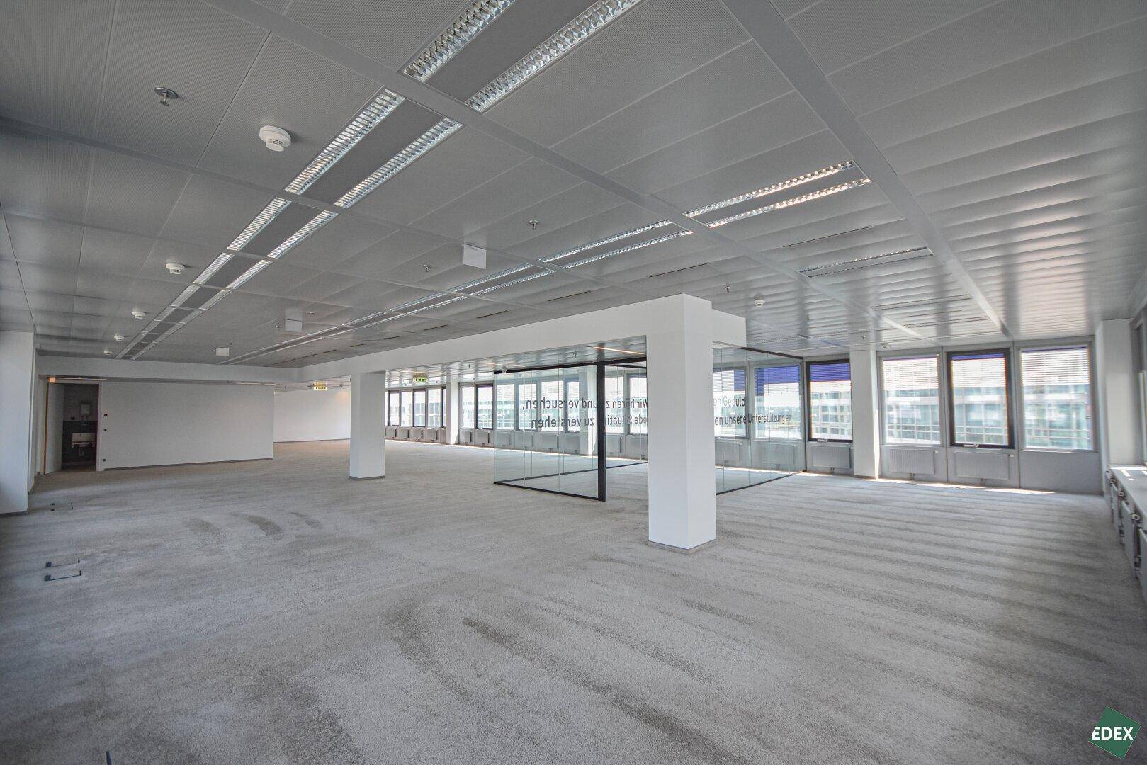 Großer, leerer Büroraum mit Teppichboden, abgehängter Decke und viel Tageslicht.
