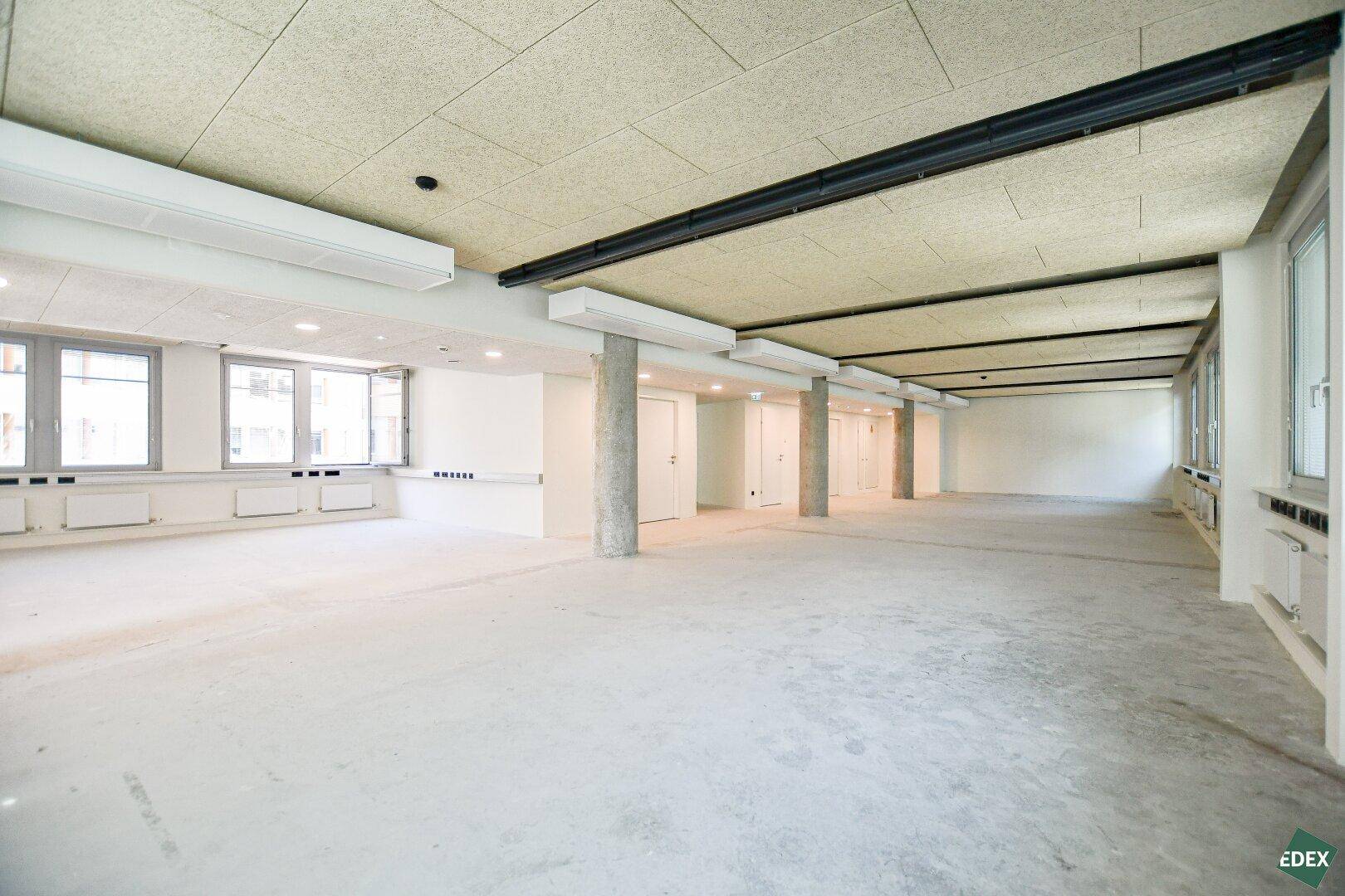 Weitläufiger Bürobereich mit vielen Fenstern, Akustikdeckenplatten und sichtbaren Installationen.