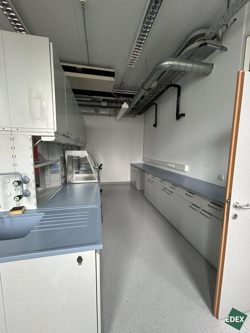 Laborraum mit weißen Schränken, blauer Arbeitsplatte und sichtbaren Rohren an der Decke.