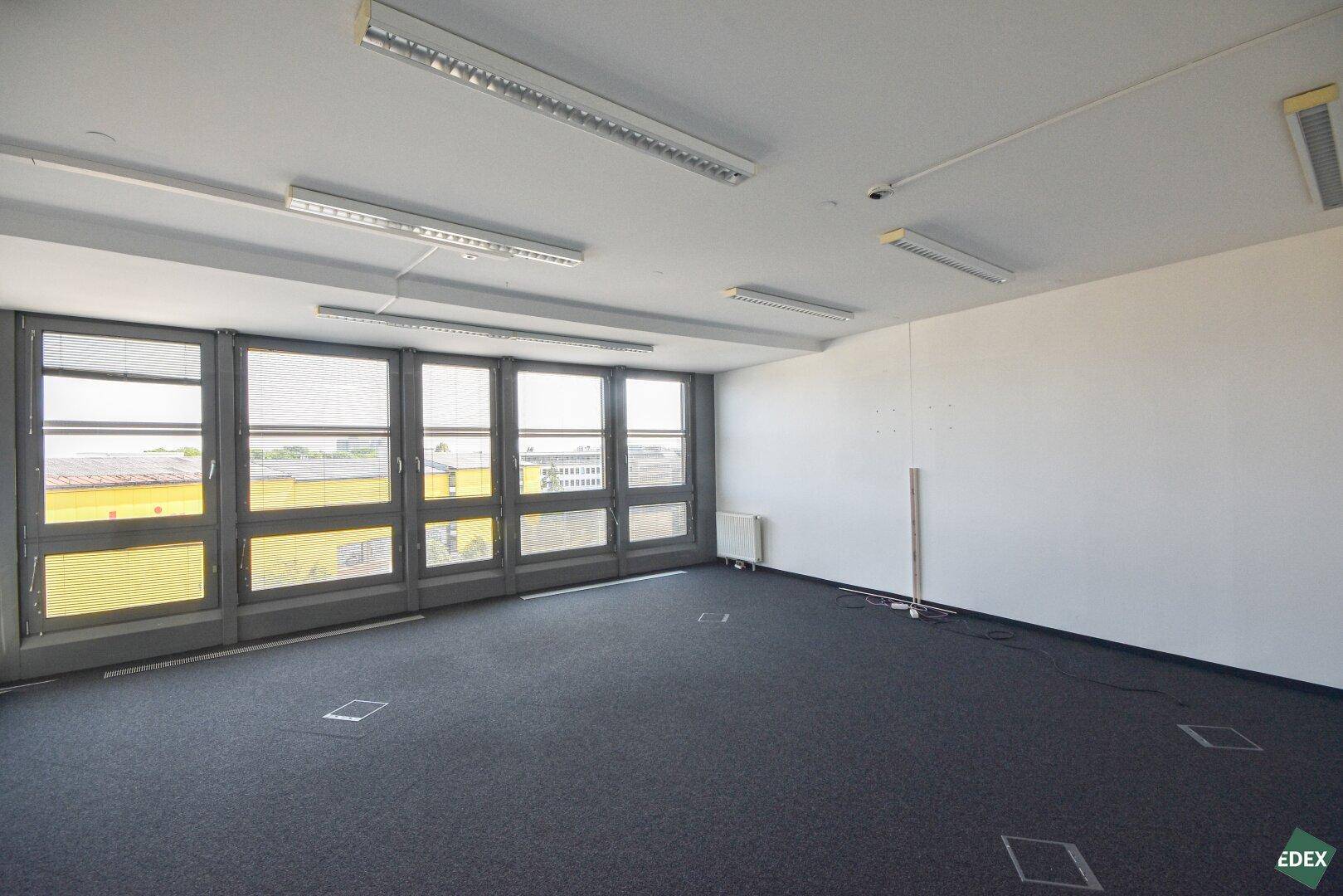 Leerer Büroraum mit Teppichboden, großen Fenstern mit Jalousien und Deckenbeleuchtung.