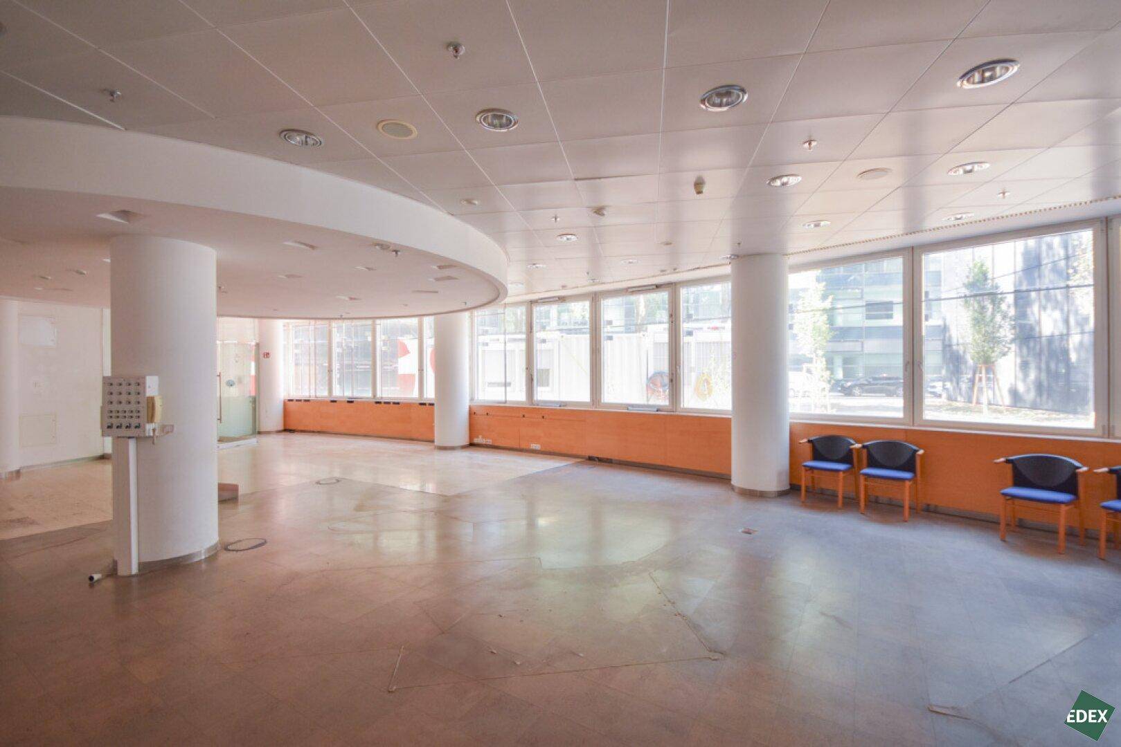 Geräumiger Bürobereich mit großen Fenstern, die den Blick nach draußen freigeben, und einer langen Holzbank.