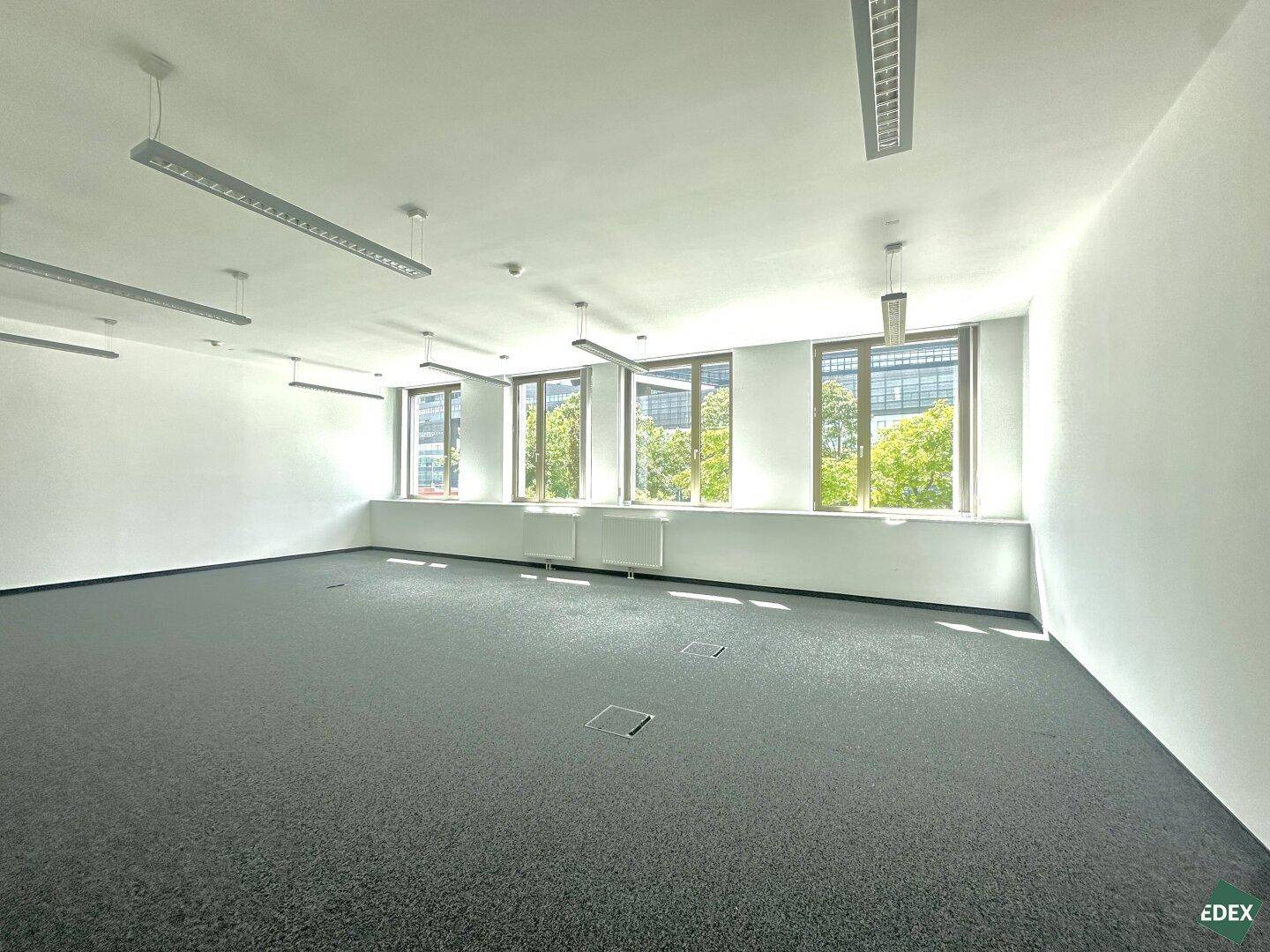 Helles Büro mit Teppichboden, vielen Fenstern und Deckenleuchten, bereit zur individuellen Gestaltung.
