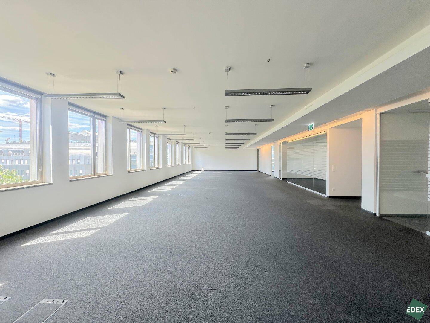 Weitläufiger Bürobereich mit Teppichboden, vielen Fenstern und angrenzenden Glasbüros.