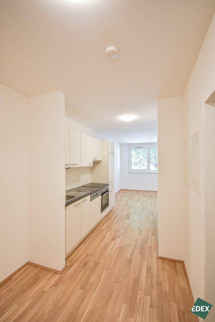 Moderne Küchenzeile in einem offenen Bereich mit Blick auf ein weiteres Zimmer mit Fenster.
