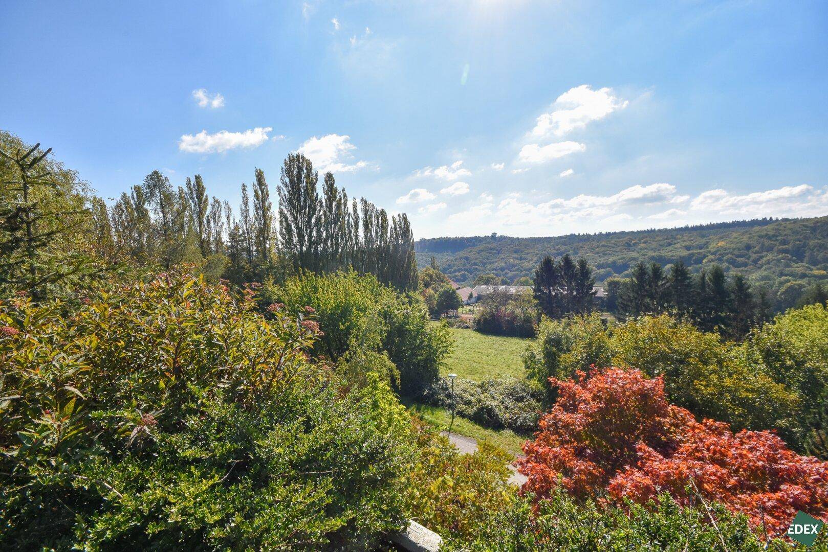 Weitläufiger Blick über eine grüne Hügellandschaft mit Bäumen und Feldern unter blauem Himmel.