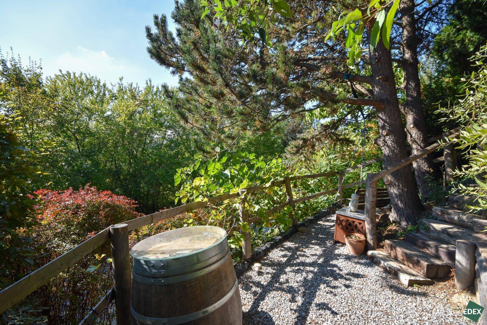 Kiesweg führt durch einen üppigen Garten mit alten Bäumen und rustikalem Holzgeländer.